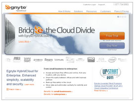 egnyte desktop sync on server